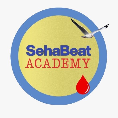 SehaBeat Academy